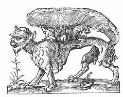 Resultado de imagen para america imaginaria miguel rojas mix pdf